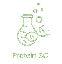 Proteína funcional