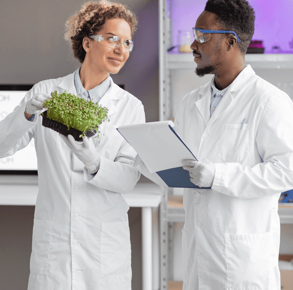 Plataformas biotecnológicas Bispora: IBIVA™, Protein 5C™ e D-PISTA™ integradas para sustentabilidade industrial