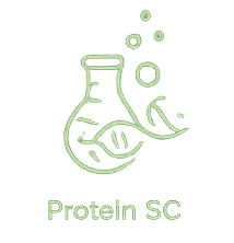 Proteína funcional